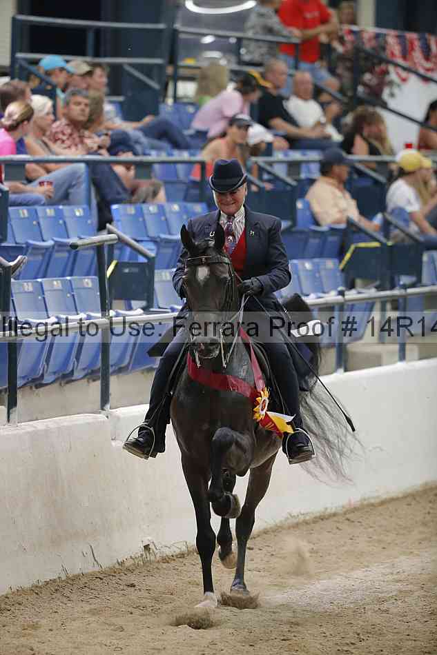 Proof 14r14_3885