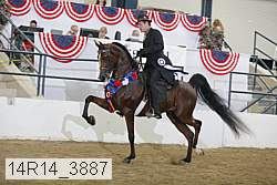 14r14_3887 proof
