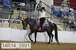 14r14_3891 proof