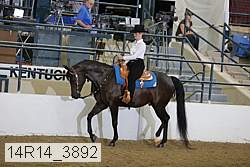 14r14_3892 proof