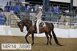14r14_3896 proof