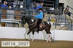 14r14_3897 proof