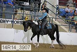 14r14_3907 proof