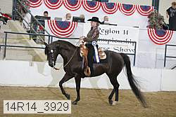 14r14_3929 proof