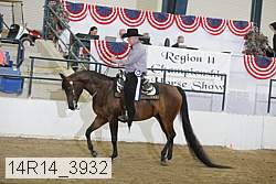 14r14_3932 proof