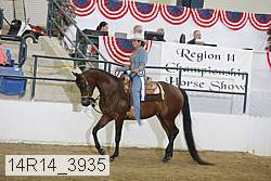 14r14_3935 proof