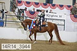 14r14_3944 proof