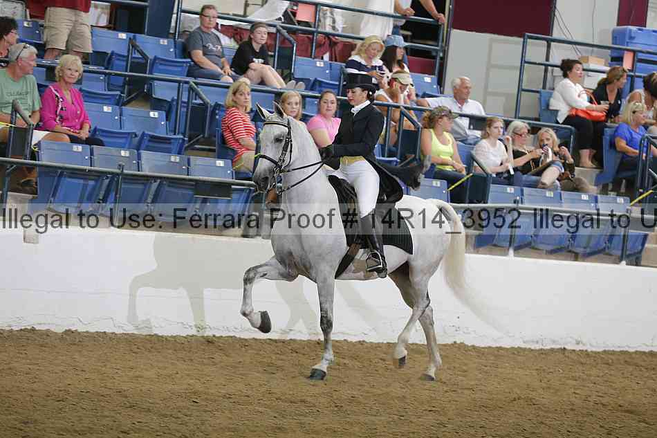 Proof 14r14_3952
