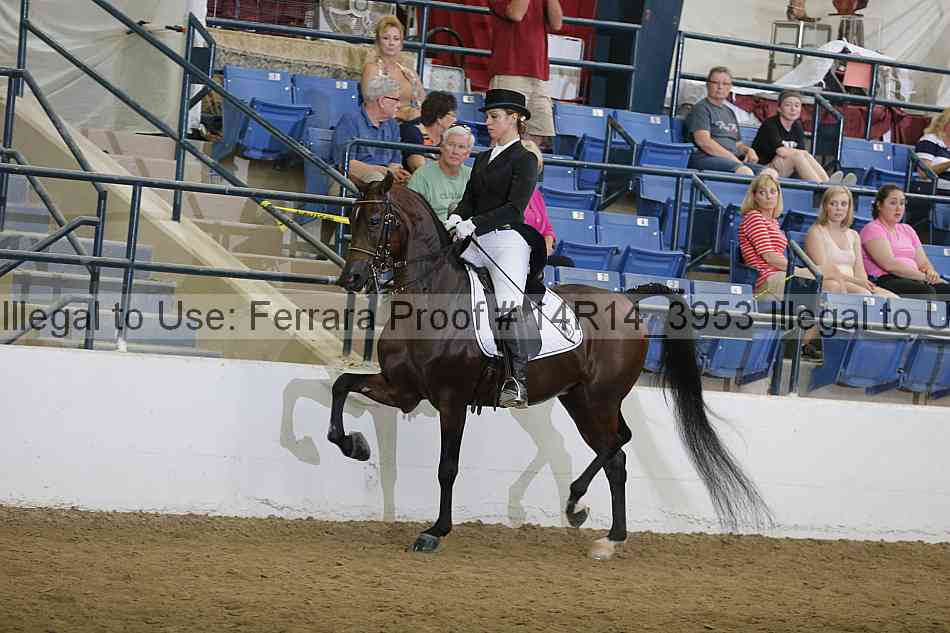 Proof 14r14_3953