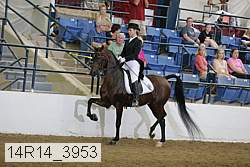 14r14_3953 proof