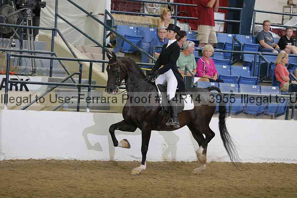 Proof 14r14_3955
