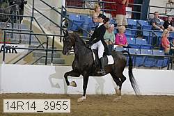 14r14_3955 proof