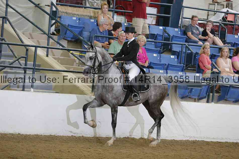 Proof 14r14_3958