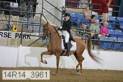 14r14_3961 proof