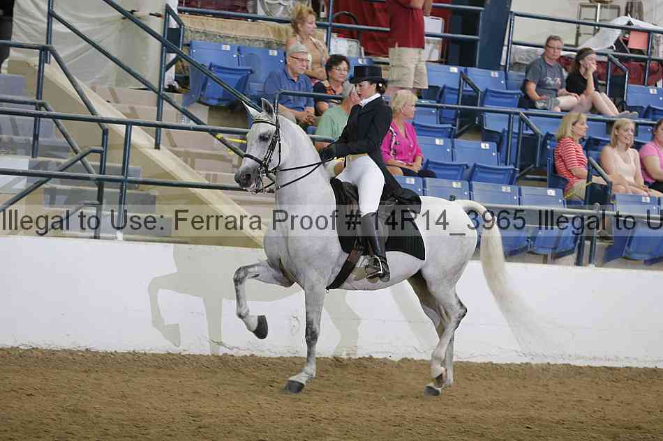 Proof 14r14_3965