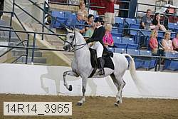 14r14_3965 proof