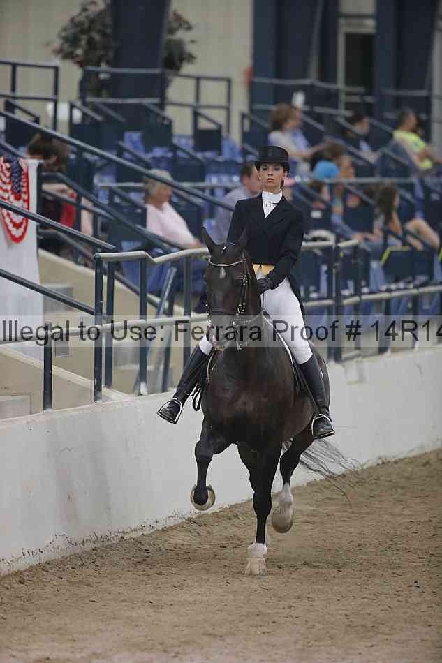 Proof 14r14_3966