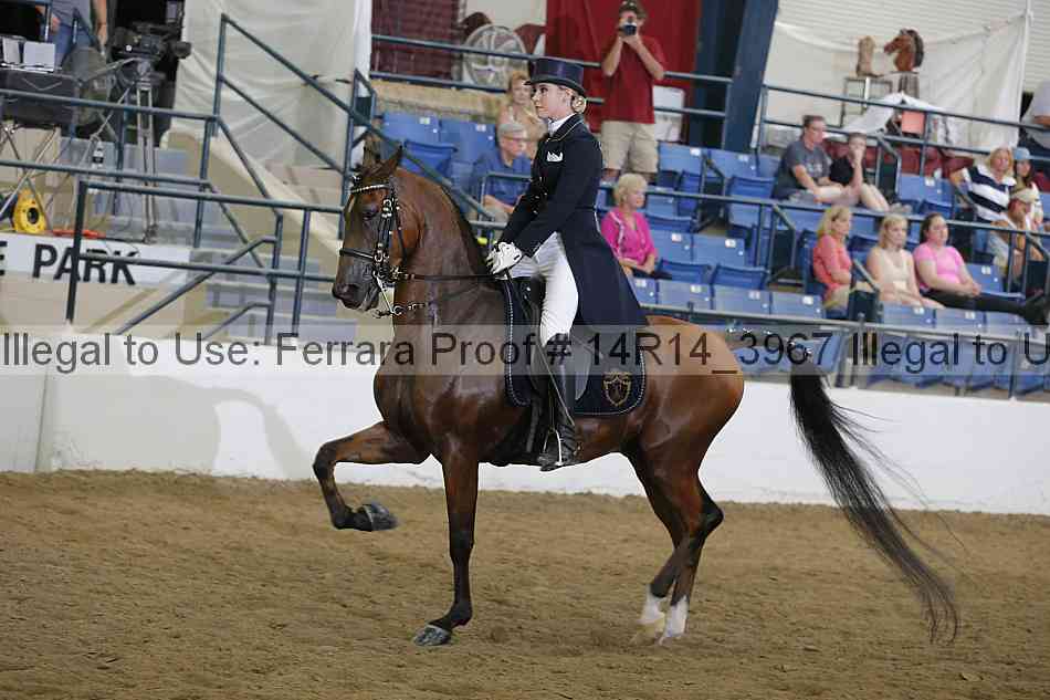 Proof 14r14_3967