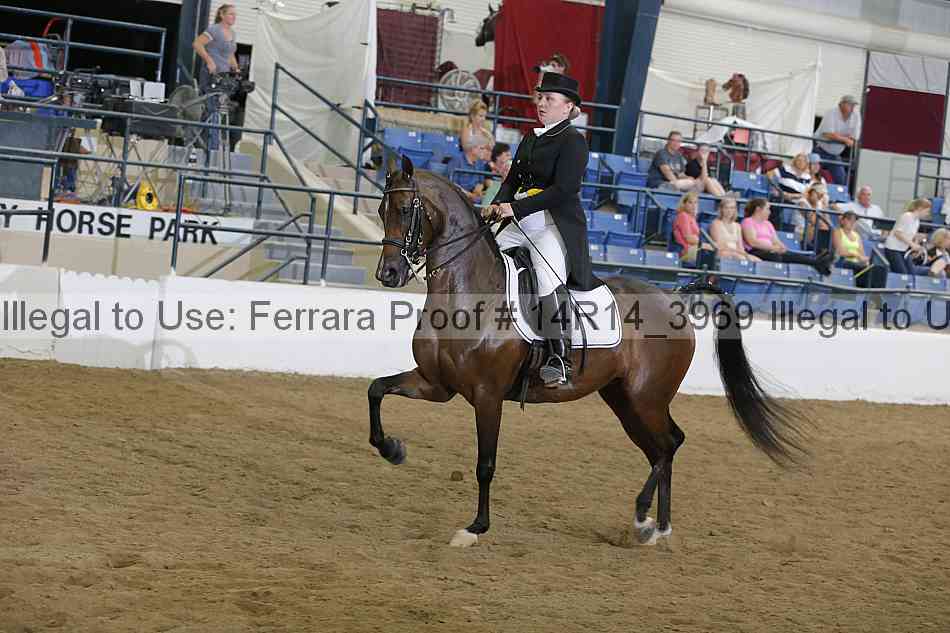 Proof 14r14_3969