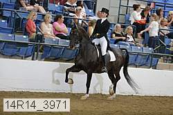 14r14_3971 proof