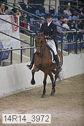 14r14_3972 proof