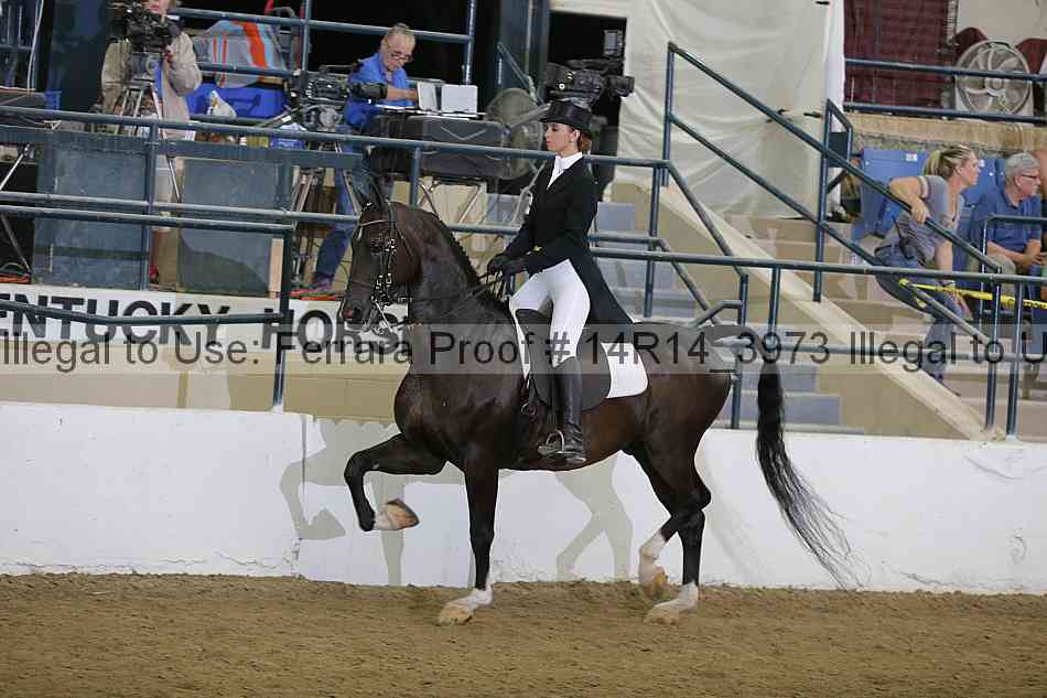 Proof 14r14_3973