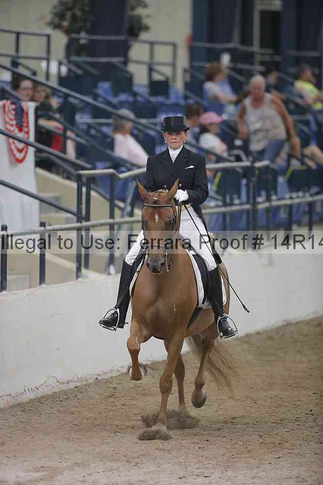 Proof 14r14_3974