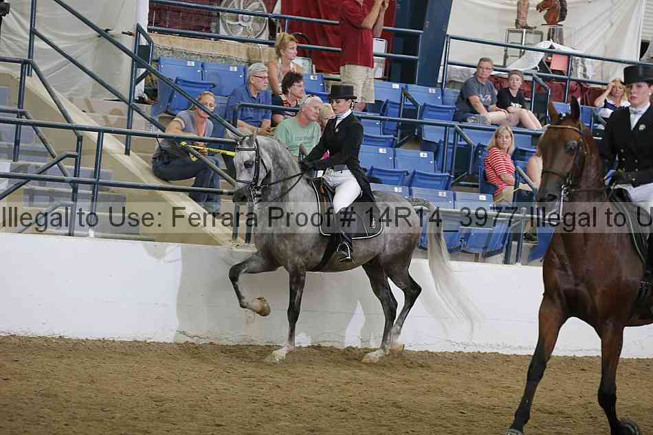 Proof 14r14_3977