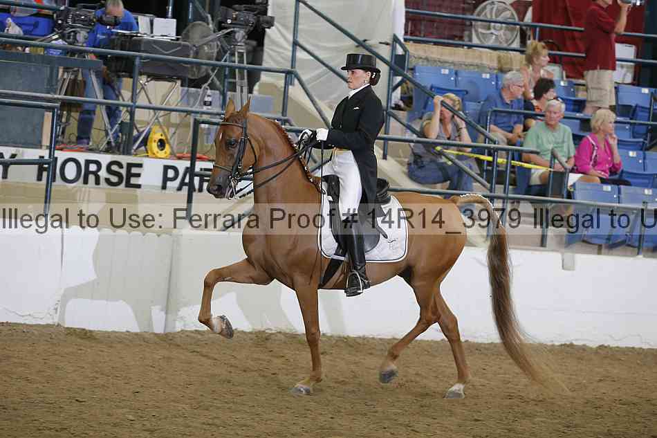 Proof 14r14_3979