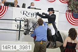 14r14_3981 proof