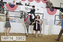 14r14_3982 proof