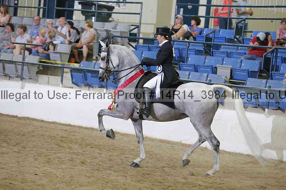 Proof 14r14_3984