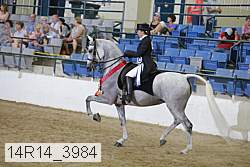 14r14_3984 proof