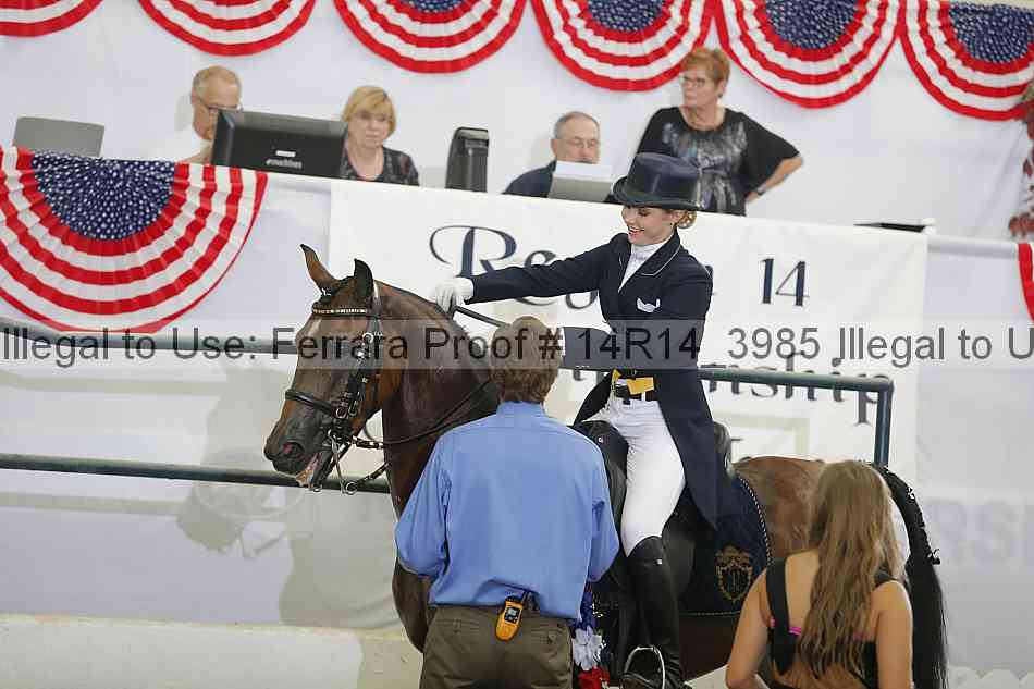 Proof 14r14_3985