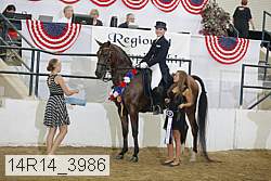 14r14_3986 proof