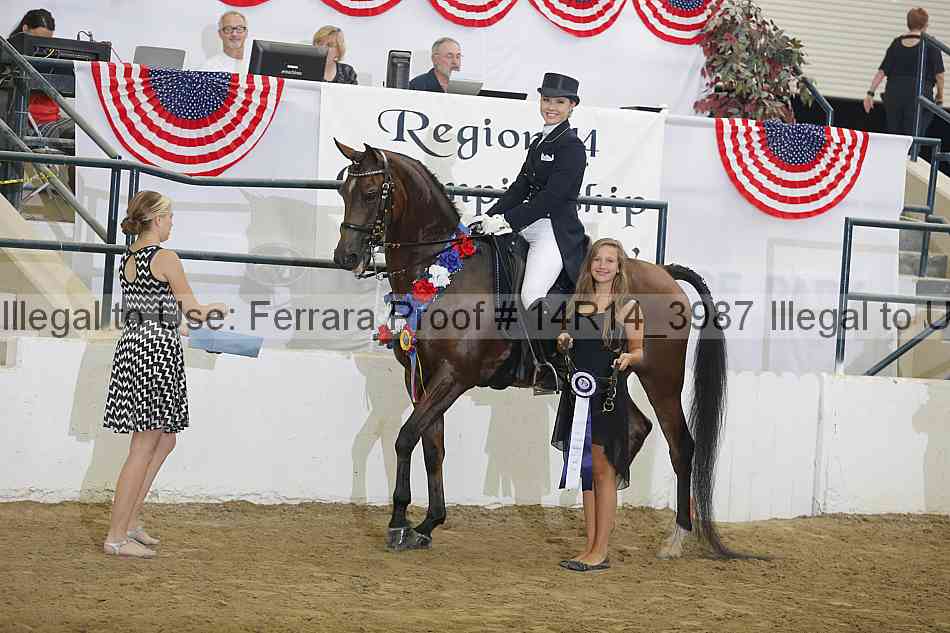 Proof 14r14_3987