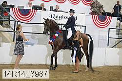 14r14_3987 proof