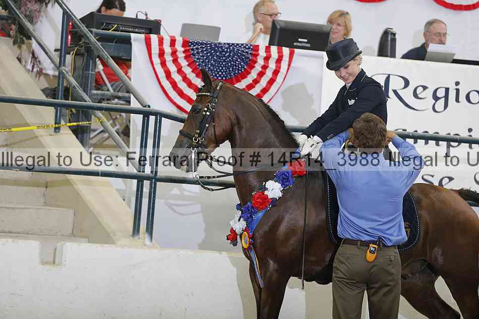 Proof 14r14_3988