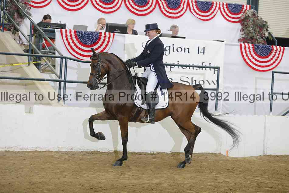 Proof 14r14_3992