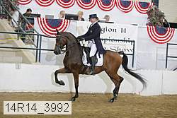 14r14_3992 proof