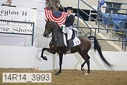 14r14_3993 proof