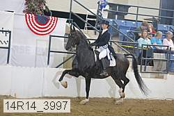 14r14_3997 proof