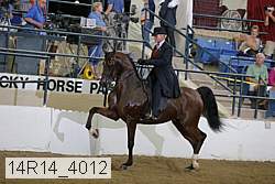 14r14_4012 proof