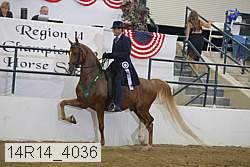 14r14_4036 proof