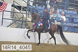 14r14_4045 proof