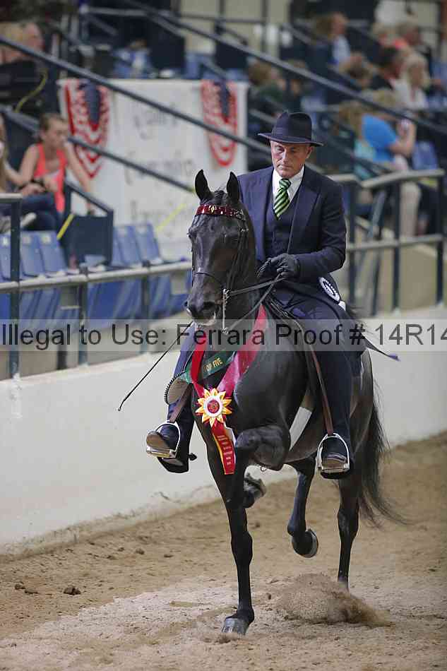 Proof 14r14_4049