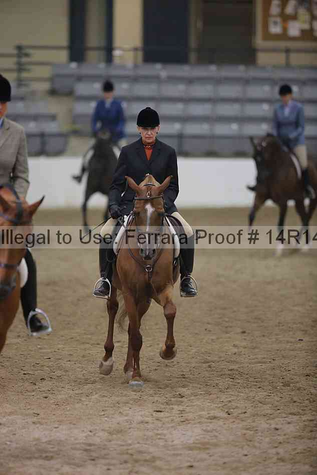 Proof 14r14_3671