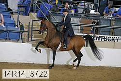 14r14_3722 proof