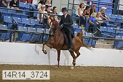 14r14_3724 proof