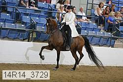 14r14_3729 proof